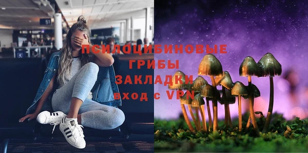 PSILOCYBIN Абдулино